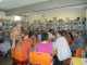 DiaD231