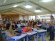 DiaD239