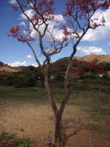 20-09-11-trabalho-dos-alunos-da-escola-estadual-padre-jose-epifanio-goncalves