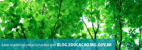 banner-blog-natureza