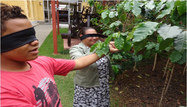 Iniciativa é realizada em parceira com o Museu de Artes e Ofícios. Foto: Arquivo escola