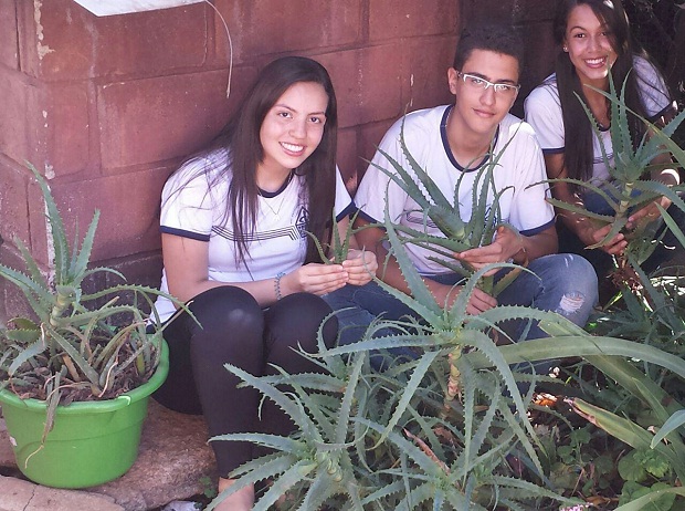 Depois de terem sido selecionados, os alunos da Escola Estadual Domingos Justino Ribeiro continuaram trabalhando na pesquisa. Foto: Arquivo da Escola