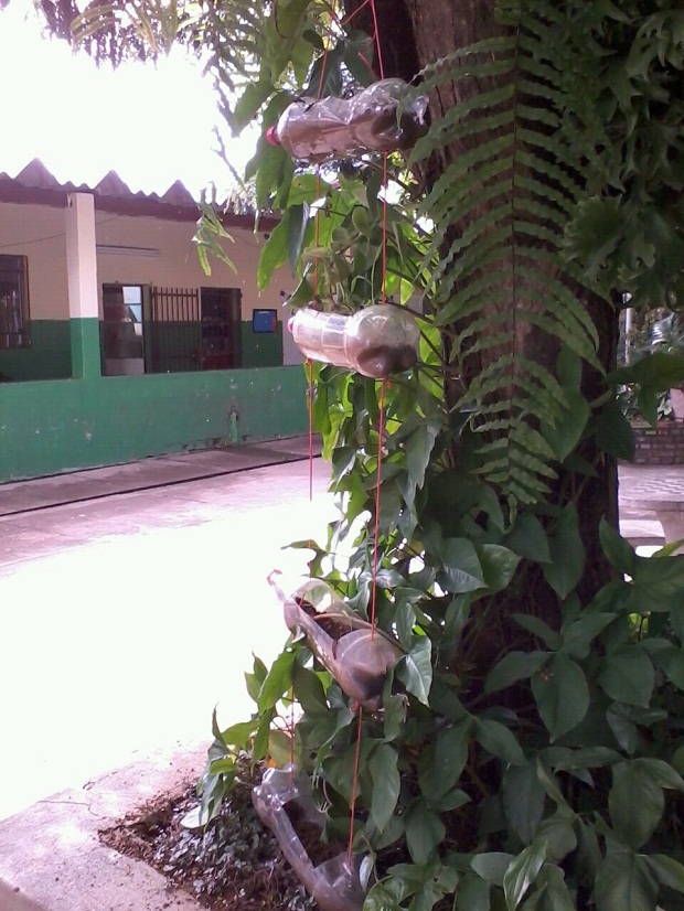 Uma horta suspensa foi feita pelos alunos da Pedro de Alcântara Nogueira utilizando materiais reciclados. Foto: Arquivo da Escola