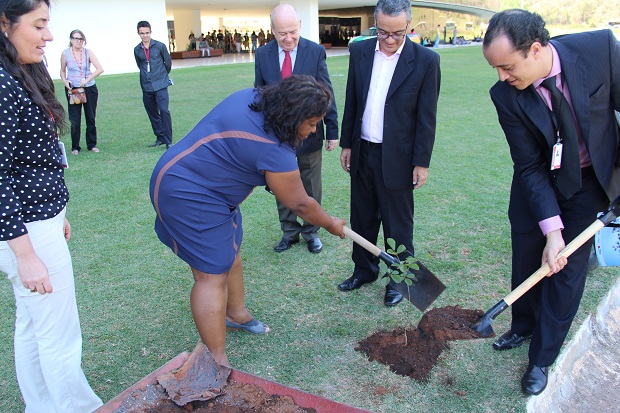 No Dia da Árvore, secretária Macaé Evaristo realiza o plantio de uma muda de Ipê Roxo. Crédito: Hudson Menezes/ACSSEE