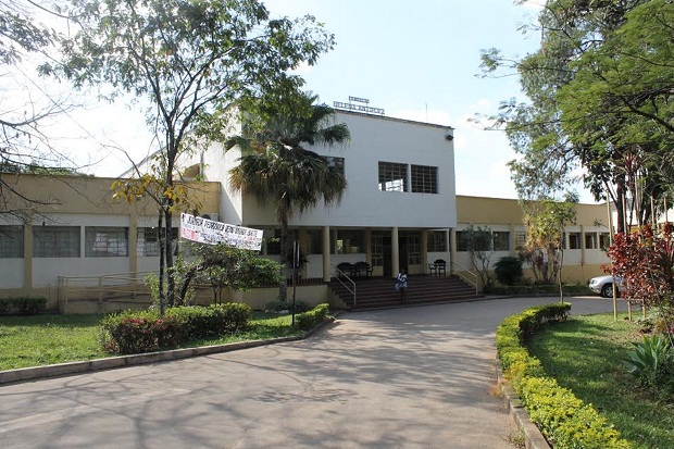 Fundação Helena Antipoff trabalha com o conceito de aprender com prazer e ludicidade. Foto: Divulgação