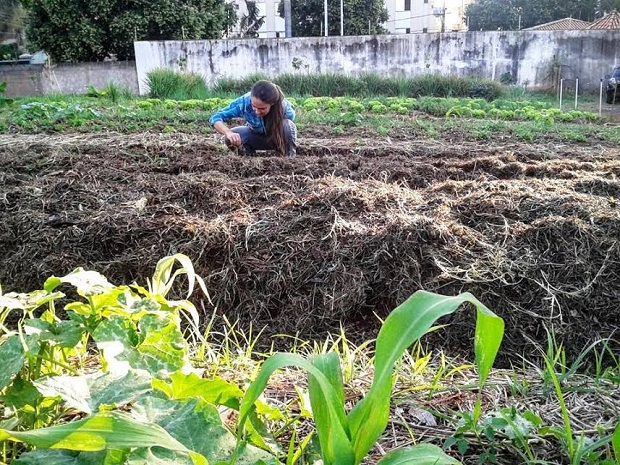 O espaço destinado às hortas é escolhido pelos próprios alunos. Foto: SEE/Arquivo da Escola