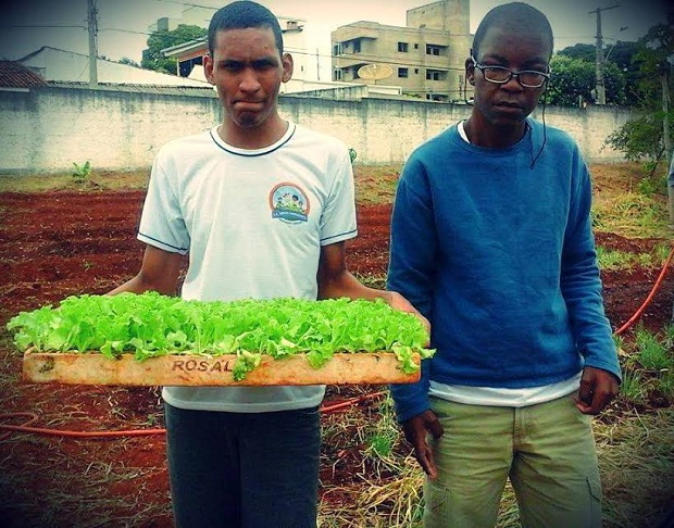 As hortaliças compõem a merenda escolar. Foto: SEE/Arquivo da Escola