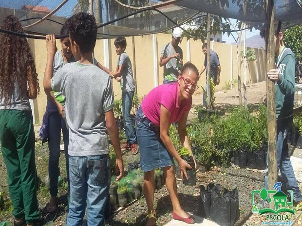 Viveiro de mudas da Escola Estadual Doutor Osvaldo Prediliano Sant’Ana beneficia toda comunidade de Salinas. Foto: Arquivo da Escola 