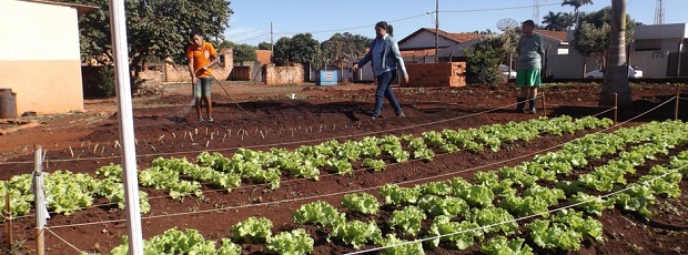 As atividades na horta escolar são acompanhadas por técnicos da Emater-MG. Foto: Arquivo/Emater-MG
