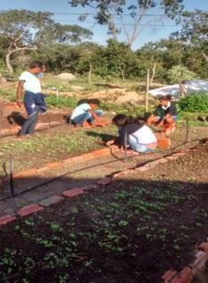 A cooperativa funciona em terreno doado pelo IEF. Foto: Arquivo da Escola