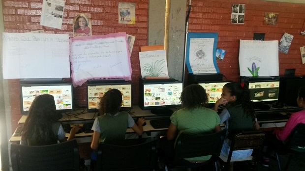 Alunos pesquisam imagens com características do mosquito Aedes aegypti , comparando com as de outros mosquitos. Foto: Arquivo da escola.