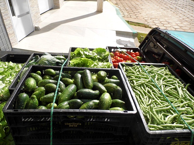 Parceria permitirá conhecer o que é produzido em cada região e a sazonalidade dos produtos. Foto: Divulgação/Emater-MG