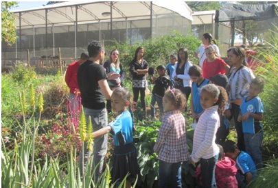 Visita ao setor de plantas medicinais do IFNMG feita pelos alunos da E.E. Monsenhor Florisval Montalvão, da comunidade Quilombola do Riacho, em Januária. Foto: Divulgação