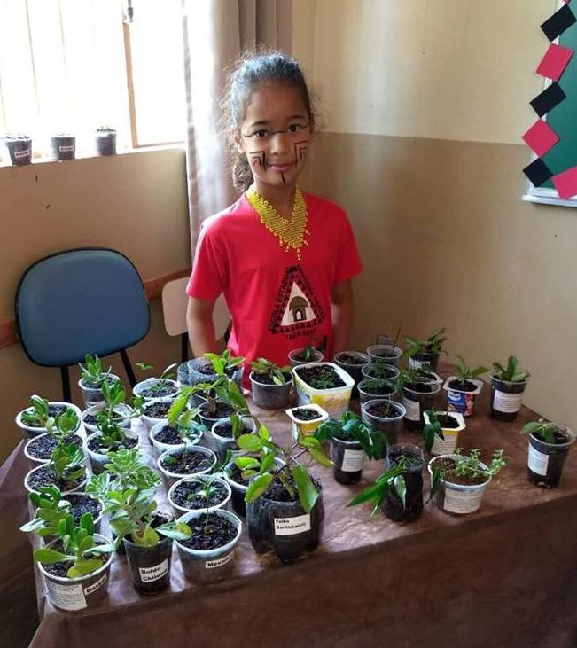 O tema da Feira de Ciências deste ano na escola foi “Plantas medicinais na Cultura Kaxixó”. Foto: Divulgação