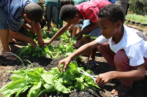 Atividades terão início em abril. Foto: Eric Abreu ACS/SEE