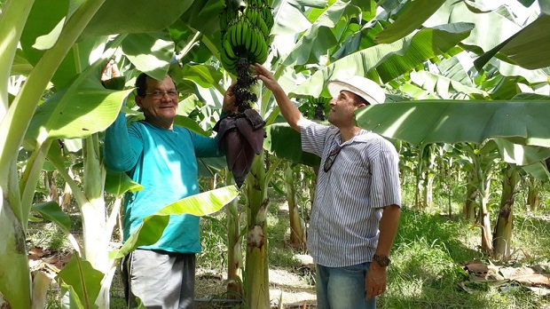 Cooperativa vai receber R$ 230 mil para fornecer cerca de 40 itens para escolas estaduais. (Crédito: Divulgação/Frutos da Terra)