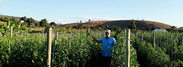 A Cooperativa Frutos da Terra, de Teófilo Otoni, vai atender 37 escolas estaduais no município, com legumes, frutas e hortaliças. Foto: Divulgação/Frutos da Terra