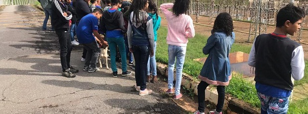 Alunos da Escola Estadual Carlos Góes em visita à Subestação Taquaril. Foto: Divulgação Cemig