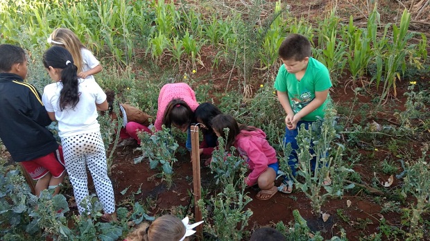 Projeto teve início em 2016. Foto: Arquivo da Escola 