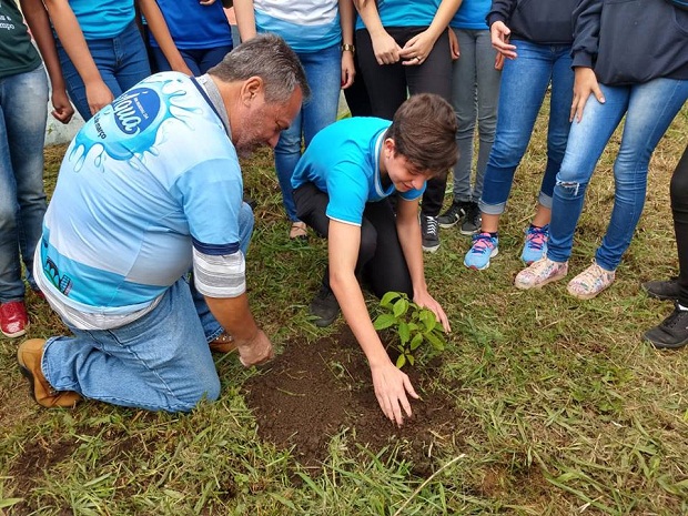 Estudantes fizeram plantio de mudas. Foto: Arquivo da Escola 