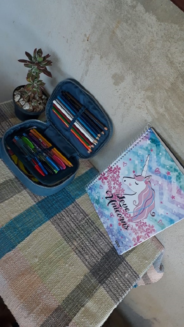 Cantinho de estudo da Ana Luiza. Foto: Arquivo Pessoal